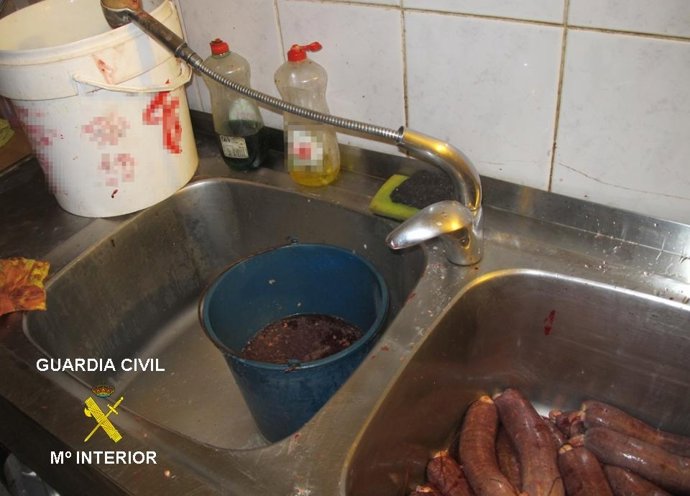 Obrador clandestino de morcillas