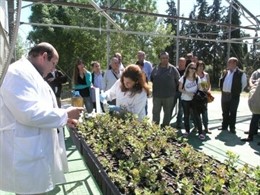 Gobierno de Extremadura