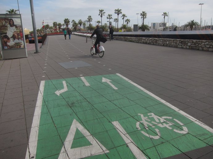 Carril bici en el paseo de Colón - Colom de Barcelona