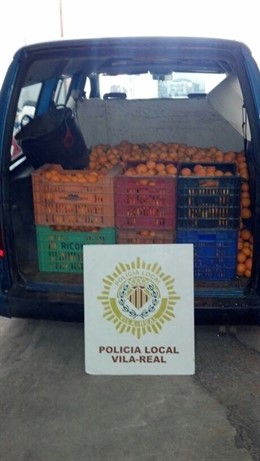 Naranjas intervenidas por la Policía Local en Vila-real.