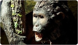 Reconstrucción del homínido Pau, cuyos restos fueron hallados en 2003