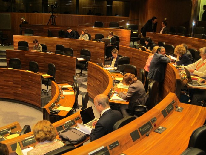 Pleno de la Junta General