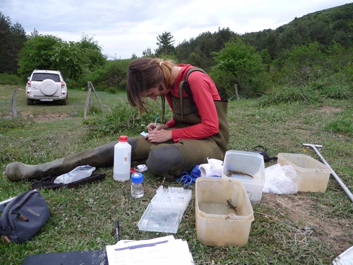 Investigadora De La Sociedad De Ciencias Aranzadi