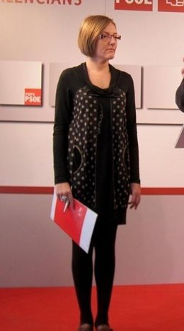 La diputada socialista María José Salvador