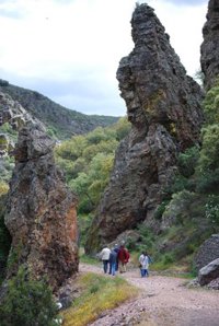 Ecologistas en Acción considera que la Ley de Evaluación Ambiental esconde la mercantilización de la biodiversidad