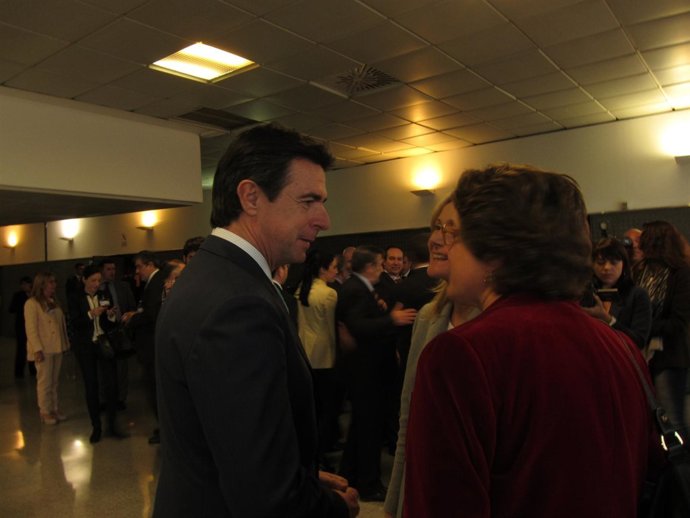 El ministro de Industria, Energía y Turismo J.M. Soria