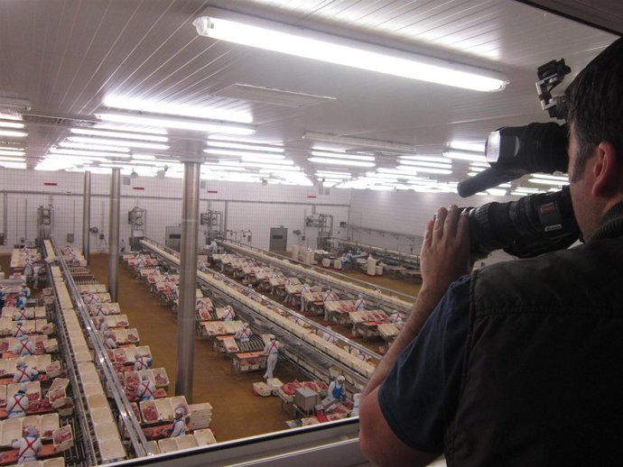 Interior fábrica ElPozo Alimentación