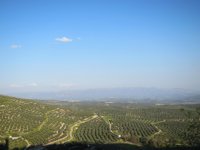 Jornaleros e instituciones reclaman una solución para el "drama" que vive el campo