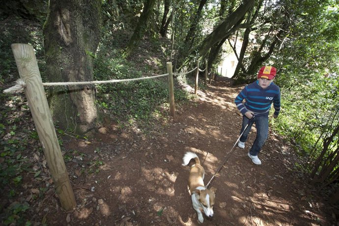 El recuperado monte de Peñas Blancas