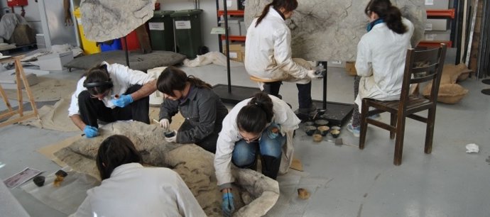 Escuela Taller de Restauración Paleontológica IV.