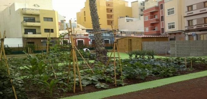 Huerto urbano en Las Palmas de Gran Canaria