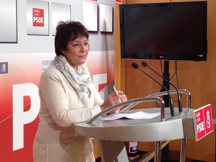 La secretaria de Sanidad delPSCyL, Mercedes Martín, analiza la aplicación en l