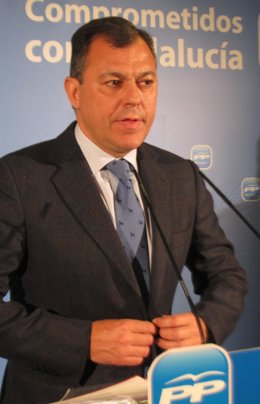 El secretario general del PP-A, José Luis Sanz, hoy en rueda de prensa