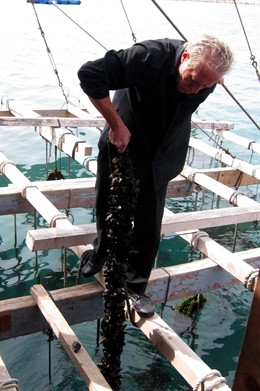 Un clochinero trabajando