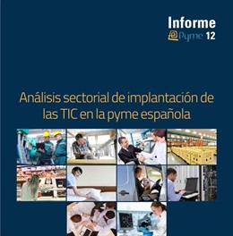 Informe ePyme12