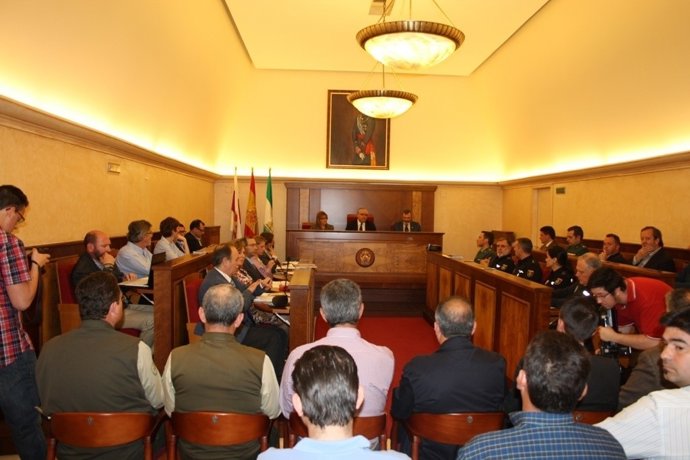 Comité Asesor del Plan del Cerro sobre la Romería de la Virgen la Cabeza 2013.