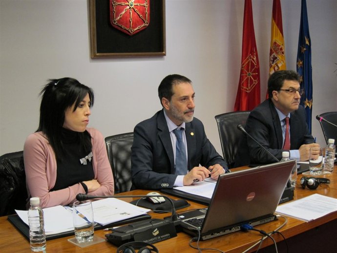 El presidente de Comptos, Helio Robleda, en comisión parlamentaria