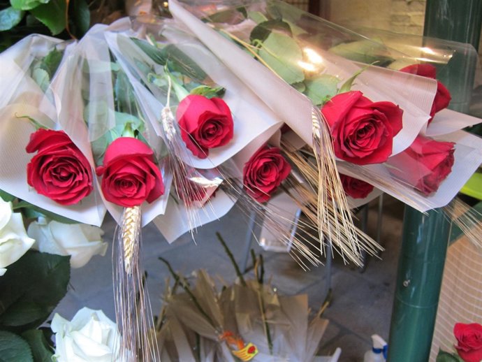 Rosas de Sant Jordi
