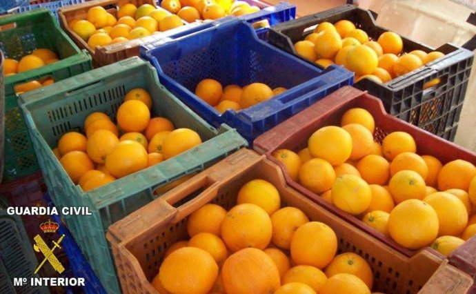Naranjas sustraídas en Algimia de Alfara
