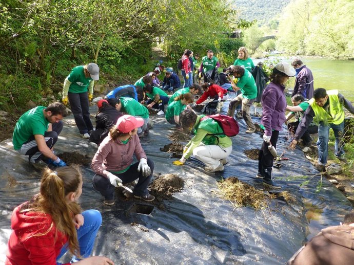 Voluntarios ambientales, PROVOCA
