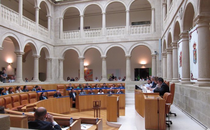 Pleno Parlamento De La Rioja