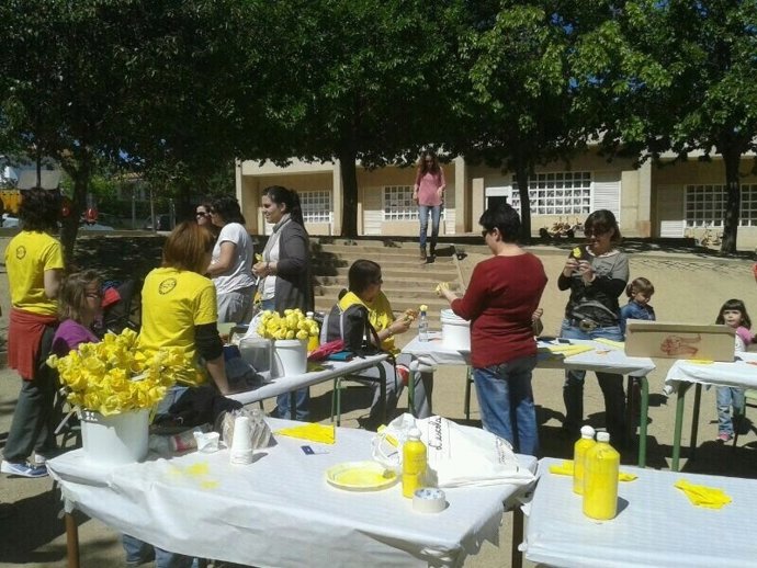 Las escuelas públicas se tiñen de amarillo en Sant Jordi