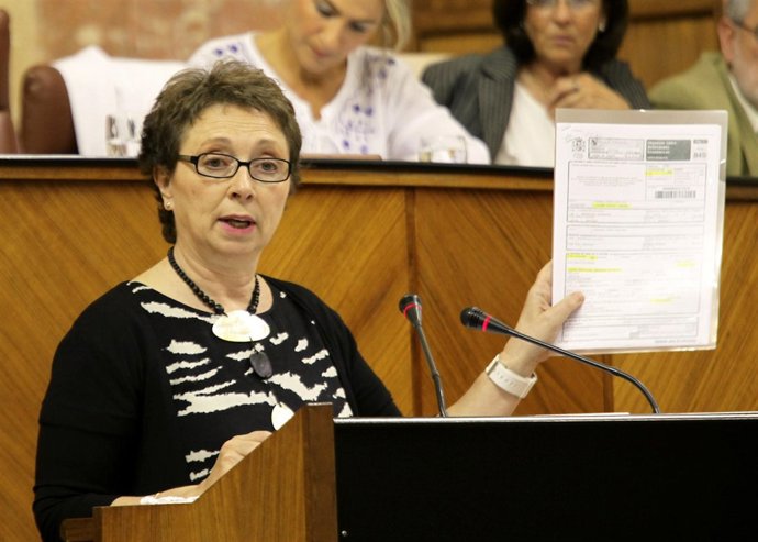 La consejera de Hacienda, Carmen Martínez Aguayo, enseña la querella contra PP-A