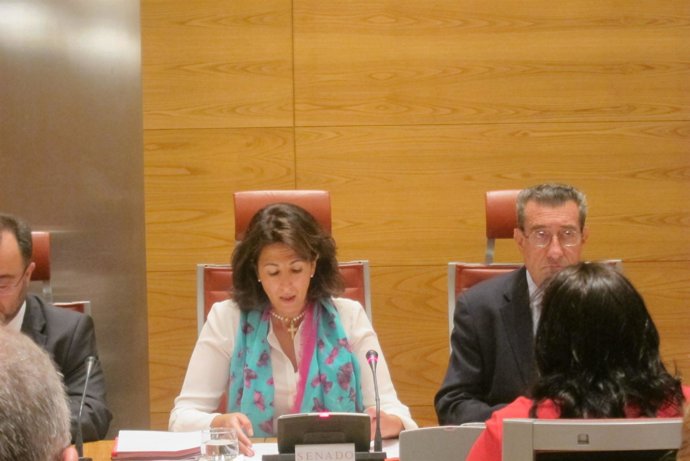 Isabel Borrego, en la Comisión de Industria del Senado