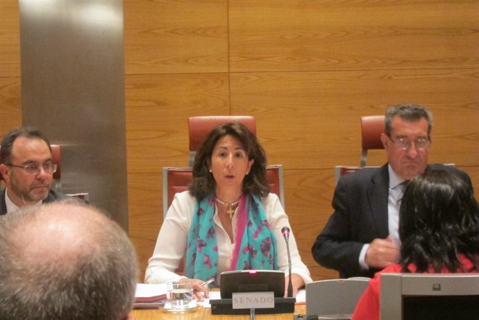 Isabel Borrego, en la Comisión de Industria en el Senado