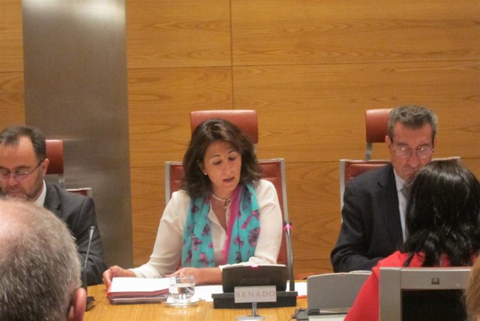 Isabel Borrego, en la Comisión de Industria del Senado