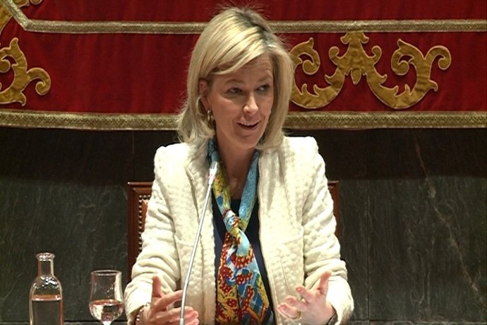 CGPJ respeta la libertad de expresión de los ciudadanos