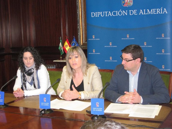 Pérez Felices (PSOE), en rueda de prensa en Diputación