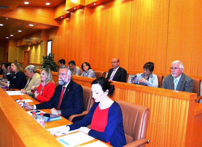 Pleno municipal Talavera