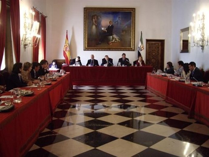 Diputación de Cáceres, pleno