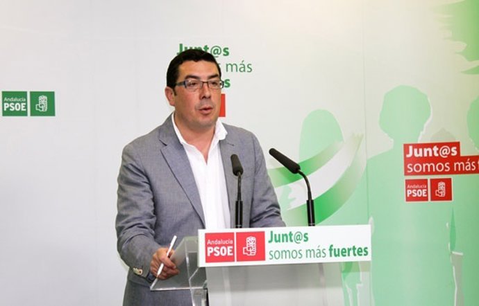 El secretario de Política Municipal del PSOE de Huelva, Manuel Domínguez.