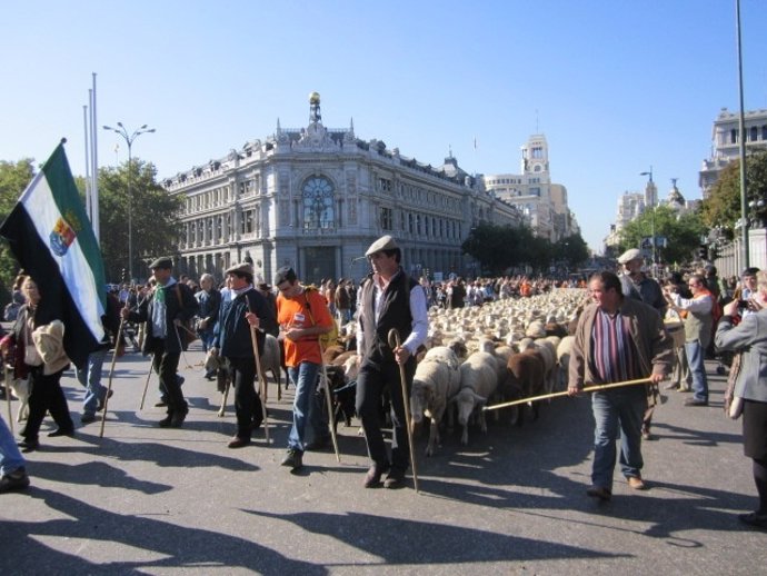 I Jornadas de Trashumancia y Razas Autóctonas 