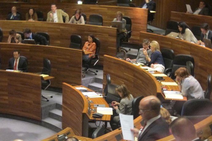 Pleno de la Junta General