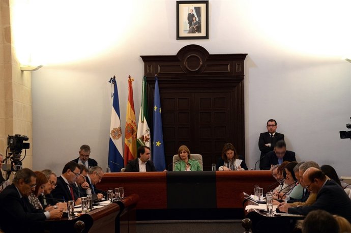 Pleno de abril del Ayuntamiento de Jerez