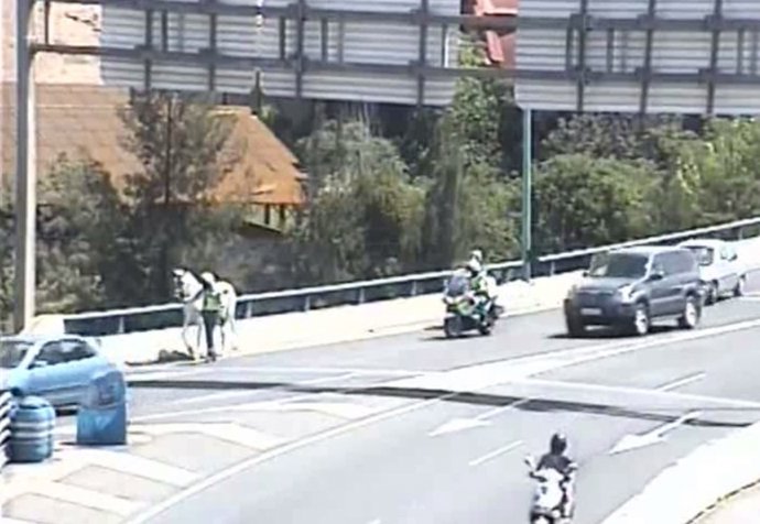 Rescate de un caballo en la SE30