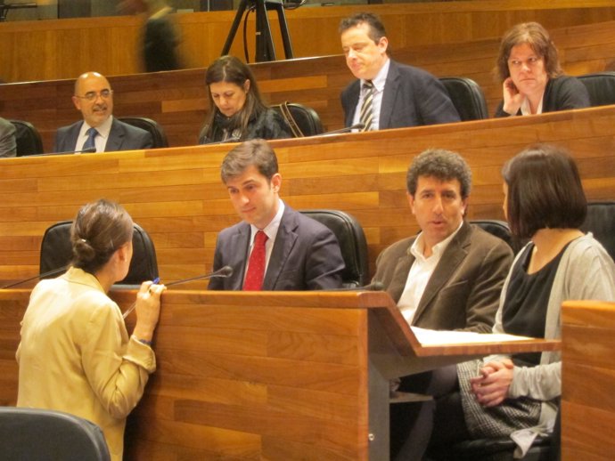 Pleno de la Junta General