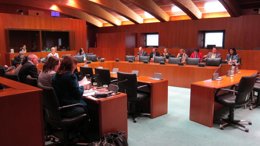 El texto ha recibido el apoyo de PP-PAR