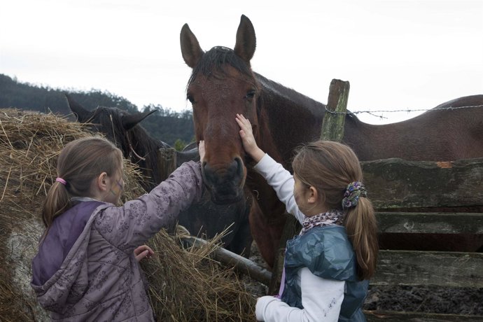 Foto de archivo de las actividades en la Granja escuela de La Garma