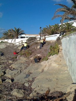Rehabilitación de espacios naturales en Formentera 