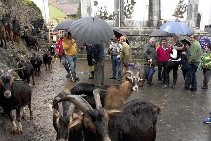 Blanca Martínez, en la Feria Ganadera de Todos los Santos en Arredondo