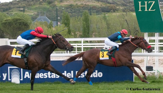 Jornada en el Hipódromo de la Zarzuela