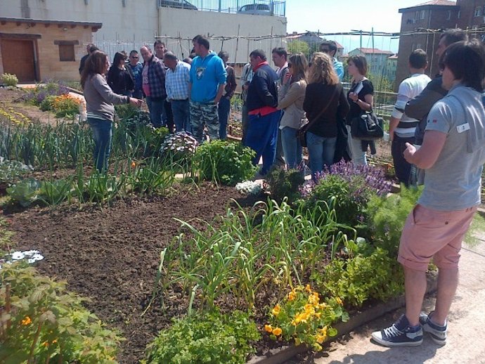 Visita a los huertos urbanos de Santander