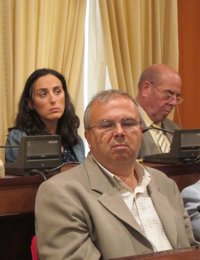 El Consistorio acatará la resolución del TC que impide que Martos y Reina estén en el gobierno