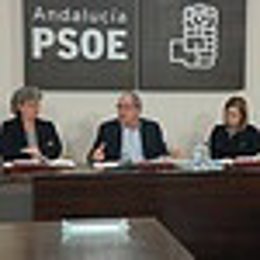 Grupo de trabajo del PSOE-A para andaluces en el exterior