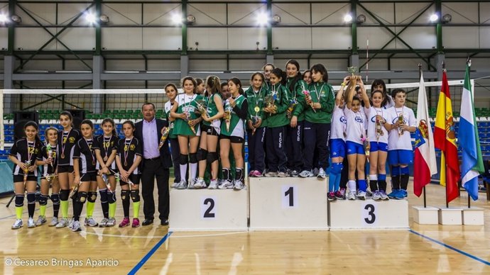 Juegos escolares de voleibol 