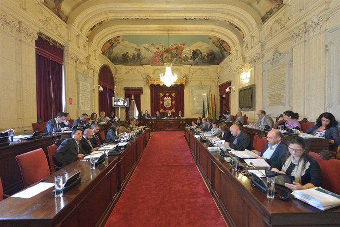 Pleno del ayuntamiento de málaga abril 2013